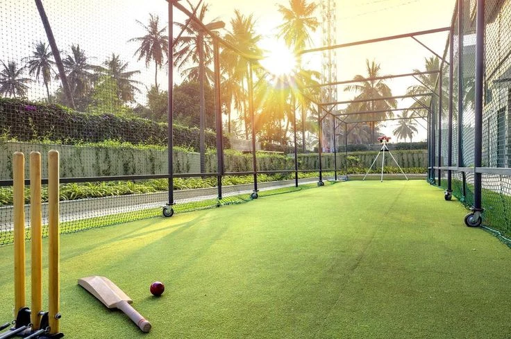 Cricket Net